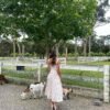 Wild Lace Bloom Dress
