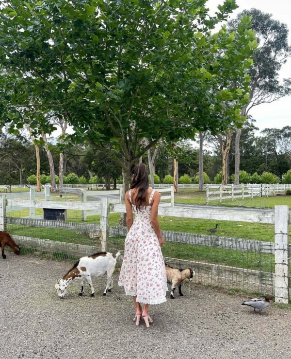 Wild Lace Bloom Dress