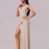 Sequin V-Neck Backless Evening Maxi Dress
