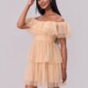 Off-Shoulder Mesh Ruffle Mini Dress