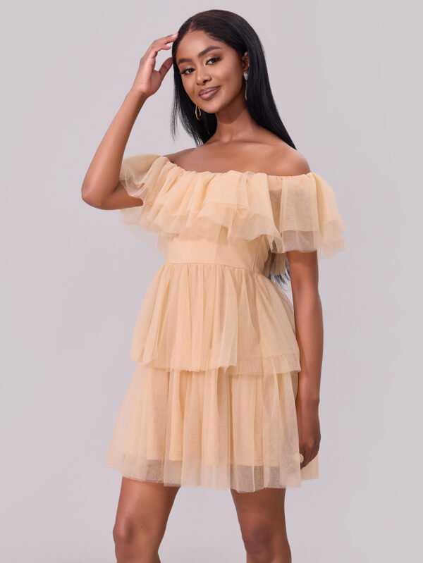 Off-Shoulder Mesh Ruffle Mini Dress