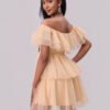 Off-Shoulder Mesh Ruffle Mini Dress
