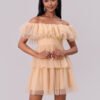 Off-Shoulder Mesh Ruffle Mini Dress