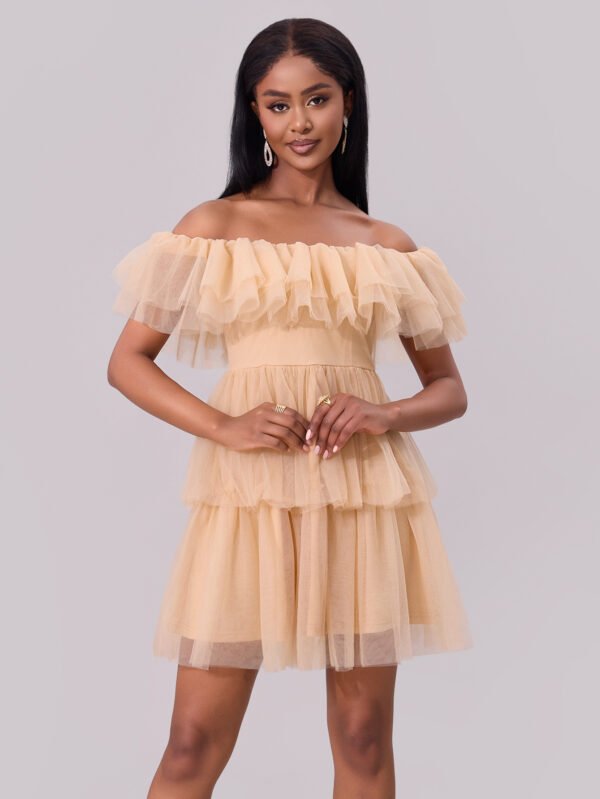 Off-Shoulder Mesh Ruffle Mini Dress