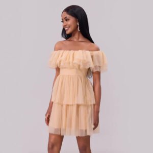 Off-Shoulder Mesh Ruffle Mini Dress