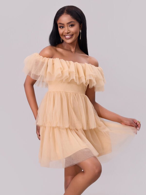 Off-Shoulder Mesh Ruffle Mini Dress